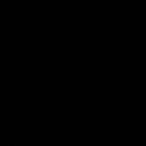 Meet your Posher, Gianna